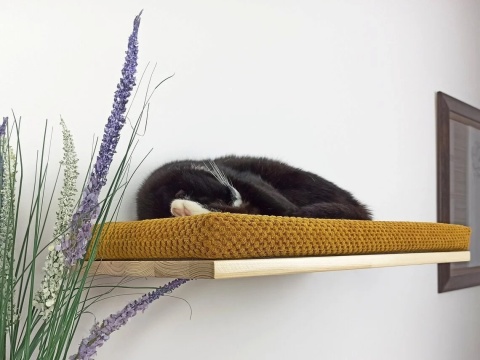 Półka ścienna dla kota, wisząca FLAT 75 cm SH-F75