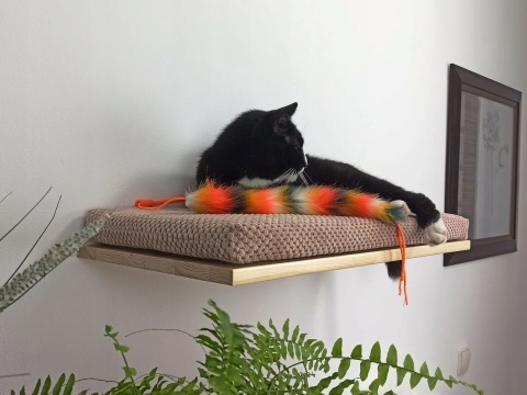 Półka ścienna dla kota, wisząca FLAT 75 cm SH-F75