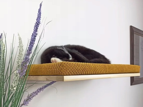 Półka ścienna dla kota, wisząca FLAT 75 cm SH-F75